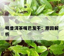 喝普洱茶嘴巴发干：原因解析