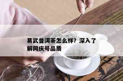 易武普洱茶怎么样？深入了解同庆号品质