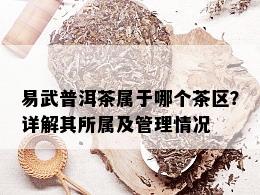 易武普洱茶属于哪个茶区？详解其所属及管理情况