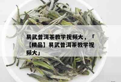 易武普洱茶教学视频大，「【精品】易武普洱茶教学视频大」