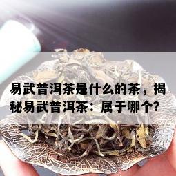 易武普洱茶是什么的茶，揭秘易武普洱茶：属于哪个？