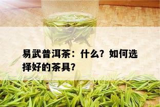 易武普洱茶：什么？如何选择好的茶具？