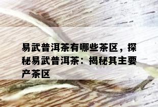 易武普洱茶有哪些茶区，探秘易武普洱茶：揭秘其主要产茶区