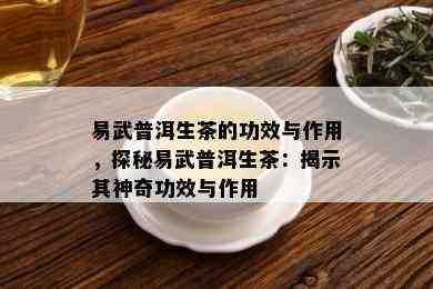 易武普洱生茶的功效与作用，探秘易武普洱生茶：揭示其神奇功效与作用