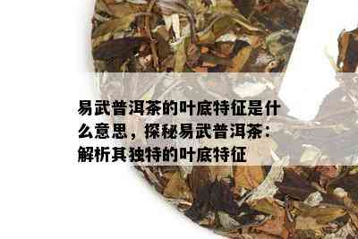 易武普洱茶的叶底特征是什么意思，探秘易武普洱茶：解析其独特的叶底特征