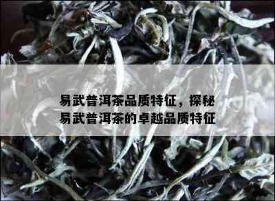 易武普洱茶品质特征，探秘易武普洱茶的卓越品质特征