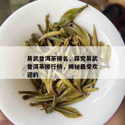 易武普洱茶排名，探究易武普洱茶排行榜，揭秘更受欢迎的