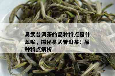 易武普洱茶的品种特点是什么呢，探秘易武普洱茶：品种特点解析