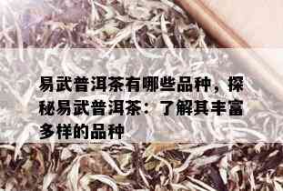 易武普洱茶有哪些品种，探秘易武普洱茶：了解其丰富多样的品种