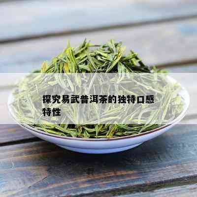 探究易武普洱茶的独特口感特性