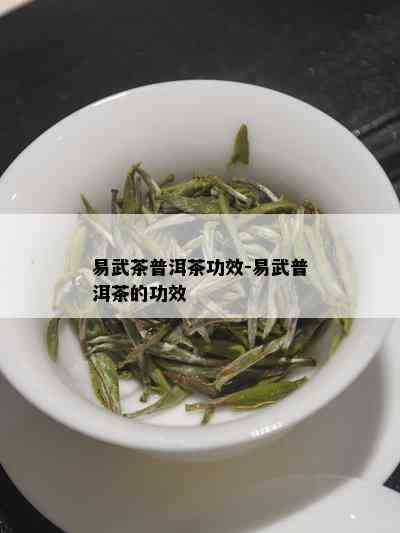 易武茶普洱茶功效-易武普洱茶的功效