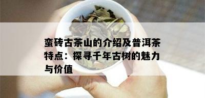 蛮砖古茶山的介绍及普洱茶特点：探寻千年古树的魅力与价值