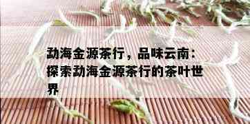 勐海金源茶行，品味云南：探索勐海金源茶行的茶叶世界