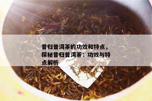 昔归普洱茶的功效和特点，探秘昔归普洱茶：功效与特点解析