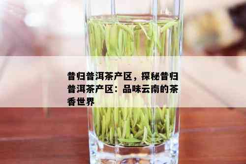 昔归普洱茶产区，探秘昔归普洱茶产区：品味云南的茶香世界