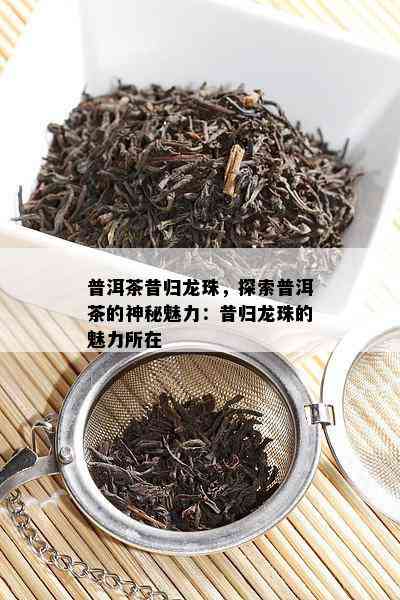 普洱茶昔归龙珠，探索普洱茶的神秘魅力：昔归龙珠的魅力所在