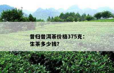 昔归普洱茶价格375克：生茶多少钱？