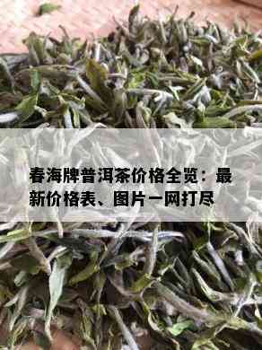 春海牌普洱茶价格全览：最新价格表、图片一网打尽