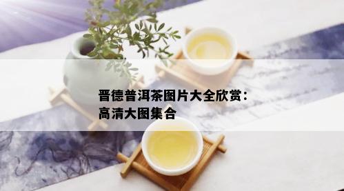 晋德普洱茶图片大全欣赏：高清大图集合