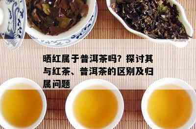 晒红属于普洱茶吗？探讨其与红茶、普洱茶的区别及归属问题