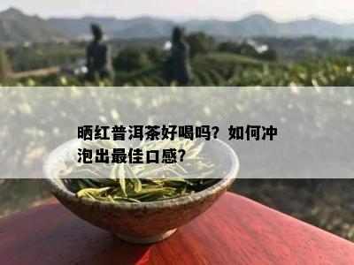 晒红普洱茶好喝吗？如何冲泡出更佳口感？