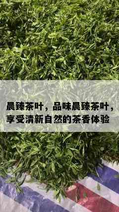 晨臻茶叶，品味晨臻茶叶，享受清新自然的茶香体验