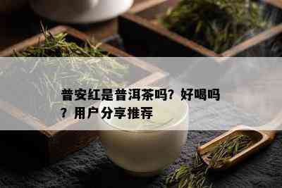 普安红是普洱茶吗？好喝吗？用户分享推荐