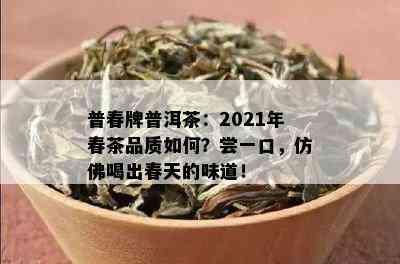 普春牌普洱茶：2021年春茶品质如何？尝一口，仿佛喝出春天的味道！