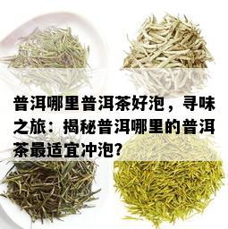 普洱哪里普洱茶好泡，寻味之旅：揭秘普洱哪里的普洱茶最适宜冲泡？