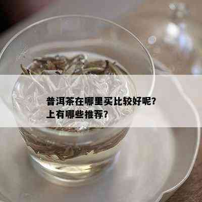 普洱茶在哪里买比较好呢？上有哪些推荐？