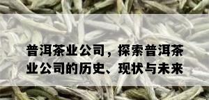 普洱茶业公司，探索普洱茶业公司的历史、现状与未来