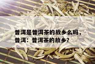 普洱是普洱茶的故乡么吗，普洱：普洱茶的故乡？