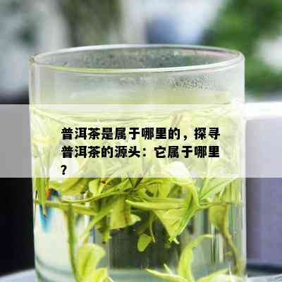 普洱茶是属于哪里的，探寻普洱茶的源头：它属于哪里？