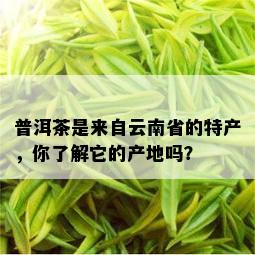 普洱茶是来自云南省的特产，你了解它的产地吗？