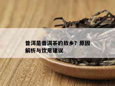 普洱是普洱茶的故乡？原因解析与饮用建议