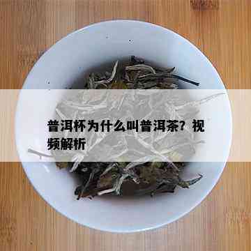 普洱杯为什么叫普洱茶？视频解析