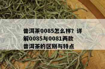 普洱茶0085怎么样？详解0085与0081两款普洱茶的区别与特点