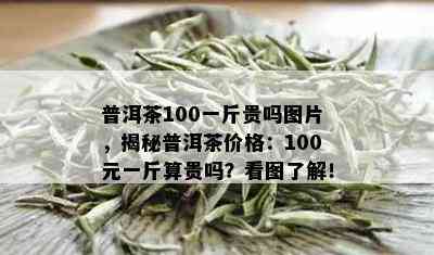 普洱茶100一斤贵吗图片，揭秘普洱茶价格：100元一斤算贵吗？看图了解！