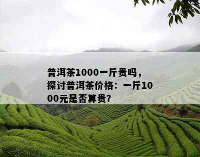 普洱茶1000一斤贵吗，探讨普洱茶价格：一斤1000元是否算贵？