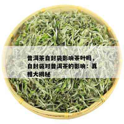 普洱茶自封袋影响茶叶吗，自封袋对普洱茶的影响：真相大揭秘