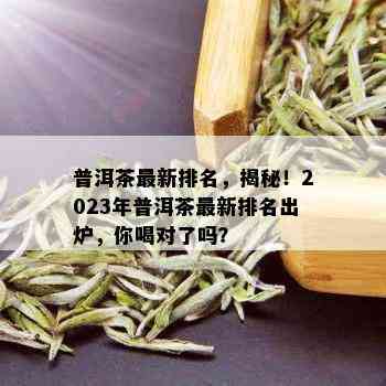 普洱茶最新排名，揭秘！2023年普洱茶最新排名出炉，你喝对了吗？