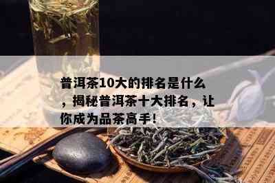 普洱茶10大的排名是什么，揭秘普洱茶十大排名，让你成为品茶高手！