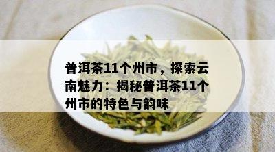 普洱茶11个州市，探索云南魅力：揭秘普洱茶11个州市的特色与韵味