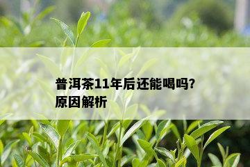 普洱茶11年后还能喝吗？原因解析