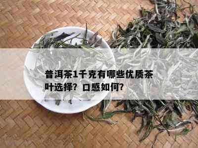 普洱茶1千克有哪些优质茶叶选择？口感如何？