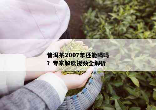 普洱茶2007年还能喝吗？专家解读视频全解析