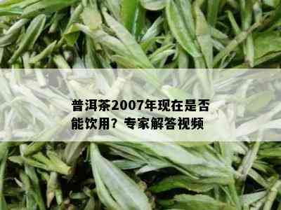 普洱茶2007年现在是否能饮用？专家解答视频