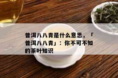 普洱八八青是什么意思，「普洱八八青」：你不可不知的茶叶知识