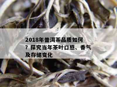 2018年普洱茶品质如何？探究当年茶叶口感、香气及存储变化