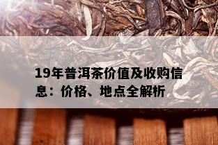 19年普洱茶价值及收购信息：价格、地点全解析